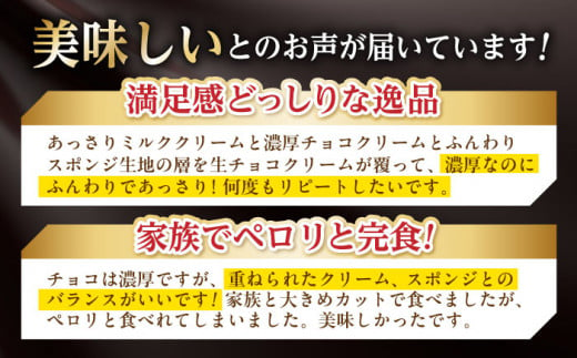 ＜ニッポン全国おやつランキンググランプリ受賞＞長崎石畳ショコラ ハーフサイズ 2個 