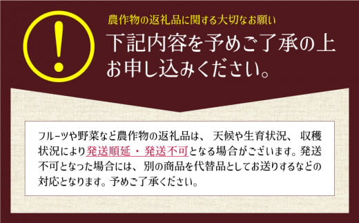 熊本県産山村のふるさと納税 《先行受付!11月より順次発送》有機JASとっぺんトマト　約2kg