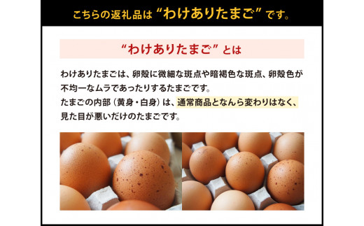 わけありたまご 康卵 90個 破損保証10個含む 赤 Mサイズ