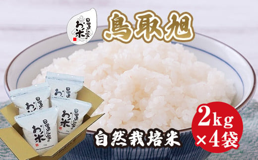１９８．日置さん家の自然栽培米「鳥取旭」精米　2kg×4袋 2024年産