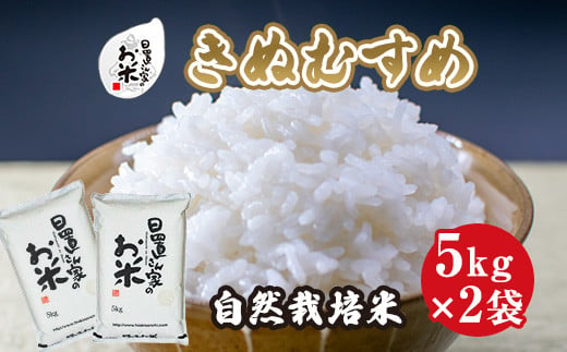 １６５．日置さん家の自然栽培米「きぬむすめ」精米　5kg×2袋 2024年産