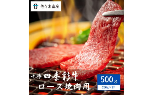 十勝四季彩牛ロース焼肉用500g(250g×2P)＜国産交雑種＞【1487534】