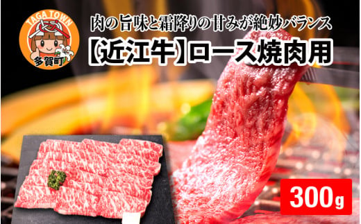 【日本三大和牛】近江牛ロース焼肉用 300g [B-01201] 1249628 - 滋賀県多賀町