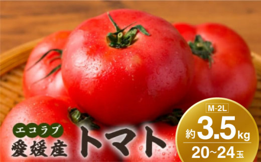 自然な美味しさ、たっぷり味わう。エコラブトマトM〜2Lサイズ(20〜24玉)約3.5kg 愛媛県大洲市/沢井青果有限会社 [AGBN012]野菜 サラダ トマト とまと 完熟トマト