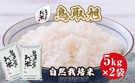 １９４．日置さん家の自然栽培米「鳥取旭」無洗米　5kg×2袋 2024年産