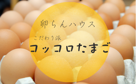 [北海道鶴居村産]コッコロたまご 2.5kg+破卵保障10個入り
