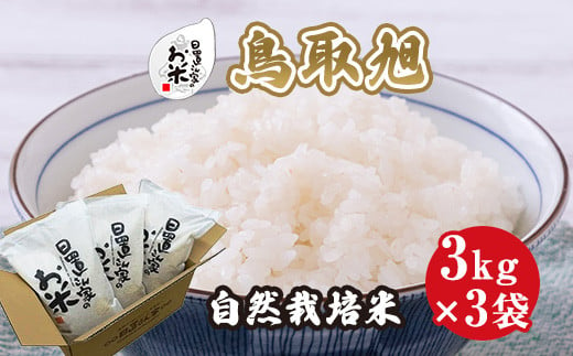 １９５．日置さん家の自然栽培米「鳥取旭」精米　3kg×3袋 2024年産