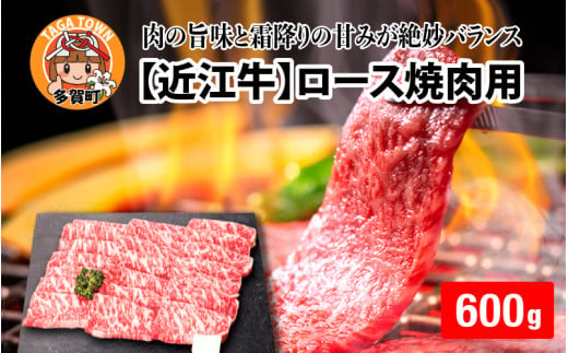 【日本三大和牛】近江牛ロース焼肉用 600g [D-01207] 1249629 - 滋賀県多賀町
