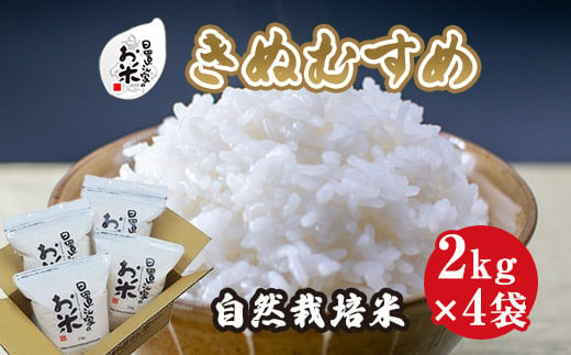 １７１．日置さん家の自然栽培米「きぬむすめ」精米　2kg×4袋 2024年産