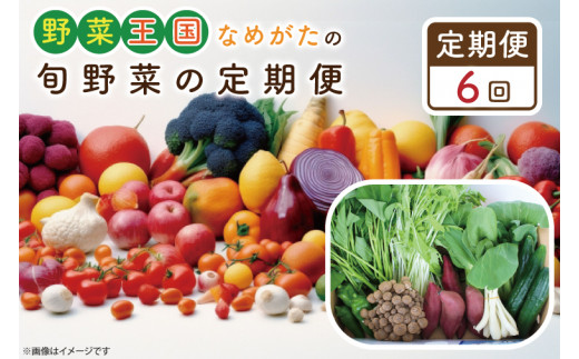 CU-133　【6ヶ月定期便】野菜王国なめがたの旬野菜の定期便（さつまいも入り） 1002797 - 茨城県行方市