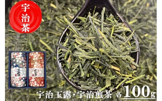 宇治茶 玉露・煎茶飲み比べセット 100g×2缶 　S1118