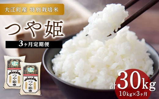 山形県大江町のふるさと納税 《3ヶ月定期便》大江町産 つや姫 10kg(5kg×2袋)×3ヶ月(計30kg)【山形県産 特別栽培米】 【001-T19】