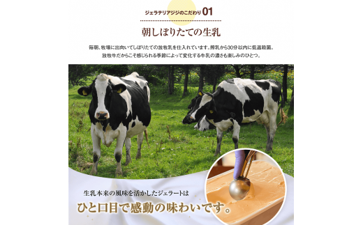 【定期便：全2回】【契約牧場放牧牛の生乳を使用した】Gigiの生乳イタリアンジェラート6個イタリア産ピスタチオ6個セット(計12