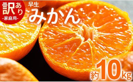 家庭用 訳あり 早生みかん 約10kg - 家庭用 フルーツ みかん 柑橘 be-0028 1001748 - 高知県香南市