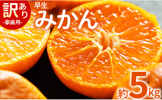 家庭用 訳あり 早生みかん 約5kg - 家庭用 フルーツ みかん 柑橘 be-0025 1001745 - 高知県香南市