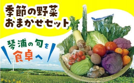 旬の野菜おまかせセット 774089 - 鳥取県琴浦町