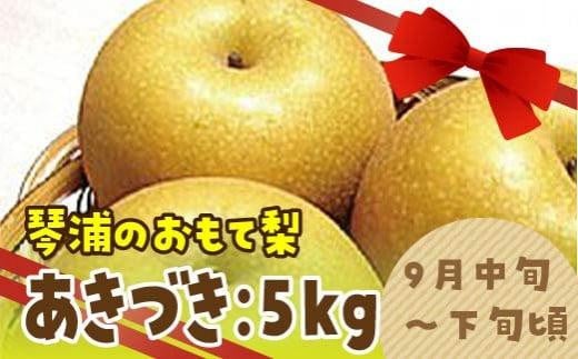 数量限定 鳥取県産梨 あきづき 5kg（10～12玉） 1011651 - 鳥取県琴浦町