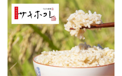 玄米『令和5年産特栽米サキホコレ』5ｋｇ 1300652 - 秋田県大仙市