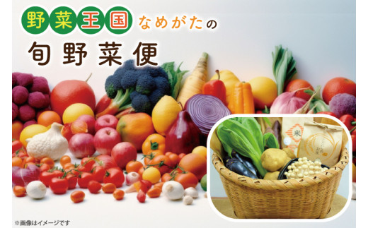 CU-135　野菜王国なめがたの旬野菜便（米入り） 1002804 - 茨城県行方市