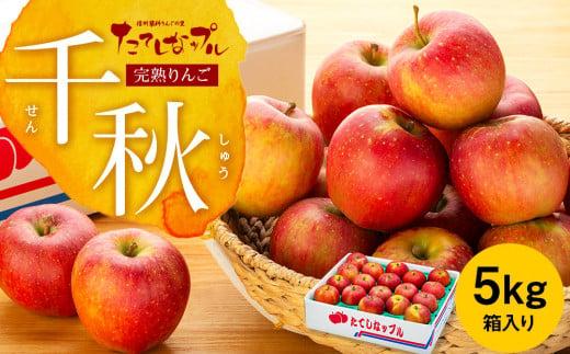 完熟りんご【千秋】約5kg 724889 - 長野県立科町
