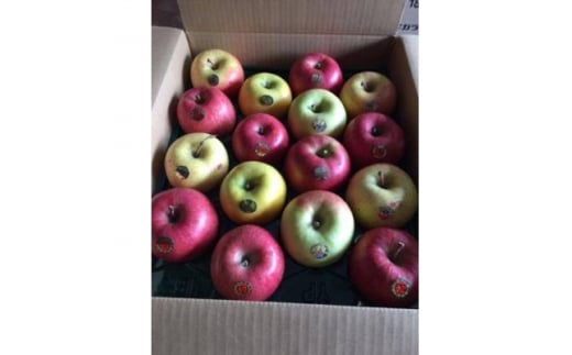 [令和6年11月中旬発送開始]青森りんご バラエティ詰め合わせ 約5kg(家庭用)