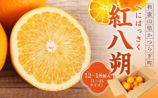 先行予約！希少な紅はっさく 12～18個入り（L～2Lサイズ）［2026年1月中旬頃から発送］［KG9］ 1300629 - 和歌山県和歌山市