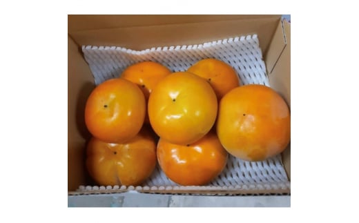 柳フルーツ園の富有柿 約2kg【1456563】 1300258 - 和歌山県橋本市