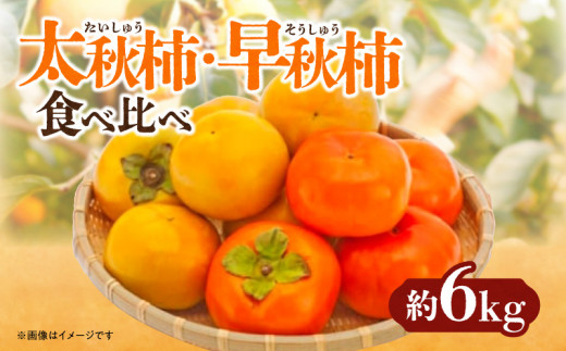 太秋柿・早秋柿　食べ比べ　約6kg【2024年9月中旬～2024年10月中旬配送】