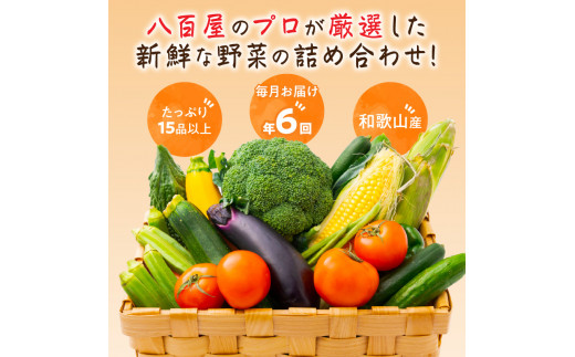 【8005】定期便　旬の新鮮野菜セットＢ【年6回】たっぷり15品以上