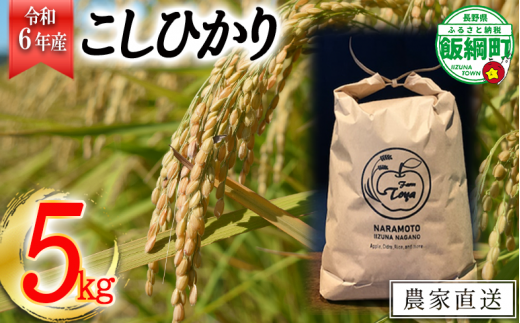 【令和6年度収穫分】こしひかり 5kg　※沖縄および離島への配送不可　※2024年10月上旬頃から順次発送予定　ファーム トヤ　長野県飯綱町 [0693] 241549 - 長野県飯綱町