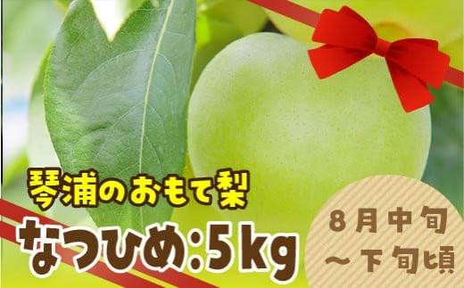 数量限定 鳥取県産梨 なつひめ 5kg（12～14玉） 983892 - 鳥取県琴浦町