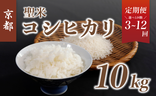 【令和6年産 先行予約】《選べるお届け回数》【定期便】京都府産コシヒカリ「聖米」白米10kg （ 3回 / 6回 / 12回 ）【 お米 米 白米  精米 こしひかり 国産 選べる 定期便 毎月発送 京都 綾部 】