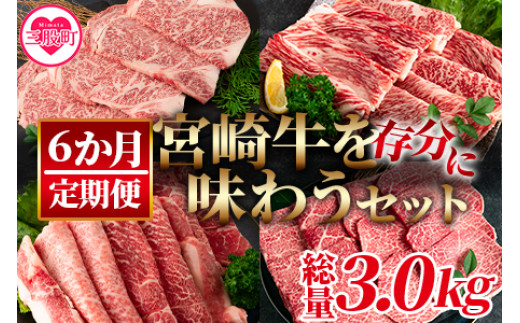 【定期便6ヶ月】宮崎牛を存分に味わうセット 総量3.0kg