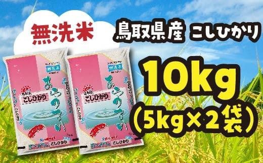 米 無洗米 コシヒカリ 鳥取県産 10kg