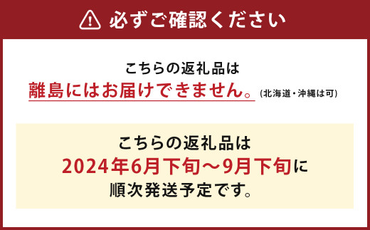 いわてひろファームの「岩手にのへきゅうり」訳アリ・Ｂ品 2kg