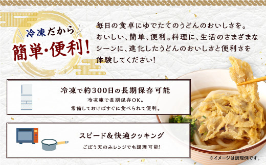 【12回定期便】カトキチ 具付き！ごぼう天うどん 12食 (260g×12袋) 