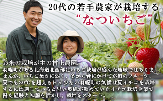 【先行予約：数量限定】北海道羽幌産 なついちご1kg（350g×3）（2024年7月より発送）