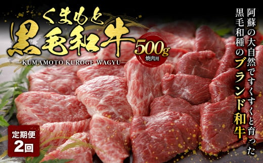 【定期便2回】くまもと黒毛和牛 焼肉用 500g 1263201 - 熊本県上天草市