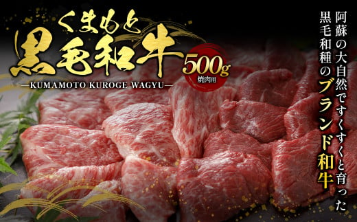 くまもと黒毛和牛 焼肉用 500g 1263200 - 熊本県上天草市