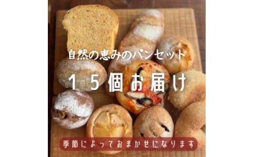 ＜15個入り＞パン屋kotubuの自然の恵みのパンセット(大)【1352138】