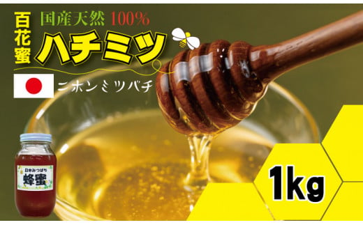 はちみつ（日本蜜蜂）蜂蜜（百花蜜）1,000g 西山養蜂 1302845 - 佐賀県小城市