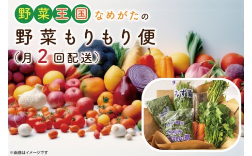 CU-139　野菜王国なめがたの野菜もりもり便（月２回発送） 1002817 - 茨城県行方市