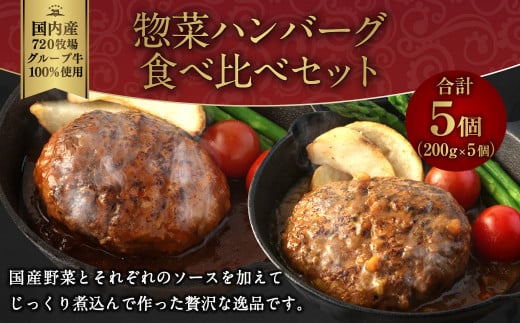 えびの高原 惣菜ハンバーグ食べ比べセット 5パック 合計1kg 