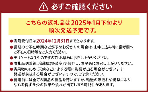 にべさんちの苺 熊本県産イチゴ空音(そらね)極み