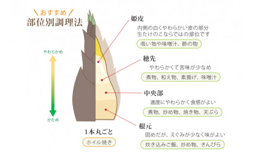 アイテムID:443784の画像2枚目