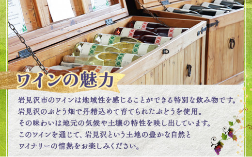 北海道岩見沢市の風土を生かした宝水ワイナリー「雪の系譜」ワイン２本セット（赤・白）【31007】