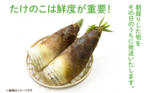 アイテムID:443784の画像3枚目