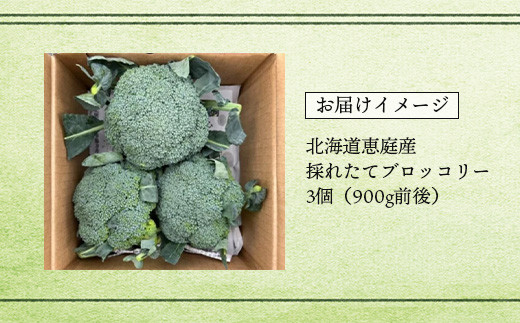 【先行予約】北海道恵庭産採れたてブロッコリー3個