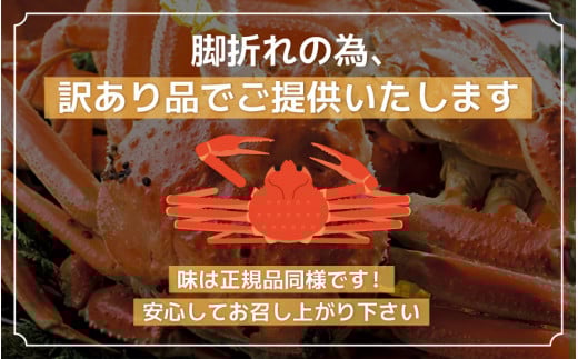 ふるさと納税】【先行予約】 訳あり≪茹で≫越前ズワイ蟹(小) 2杯 