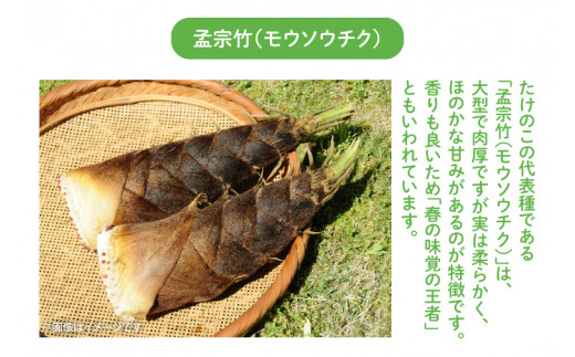 アイテムID:443784の画像4枚目